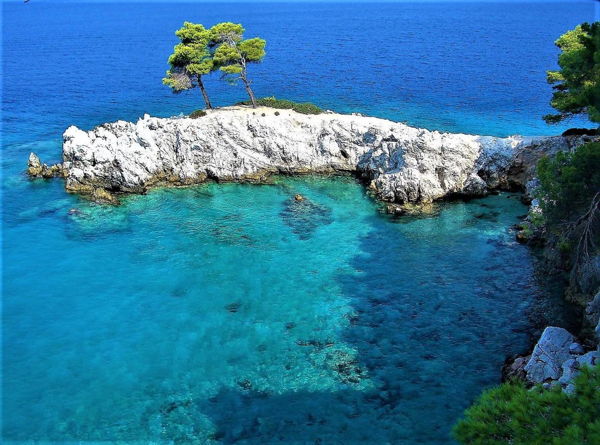 Βίλα Secret Sporades Panoramic *