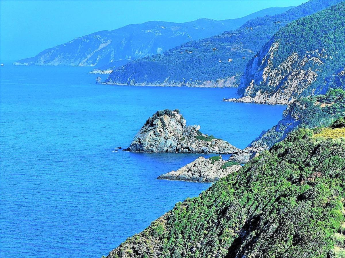 Secret Sporades Panoramic Villa